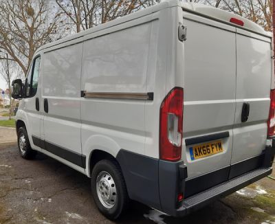 V.P  London Distribution